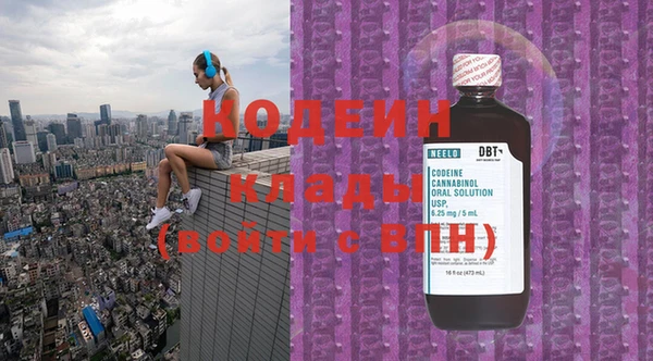 индика Заволжье
