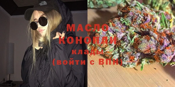 молекула духа Ельня