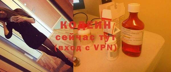индика Заволжье
