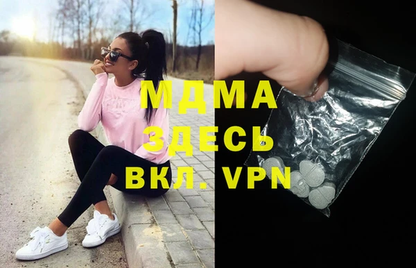 молекула духа Ельня