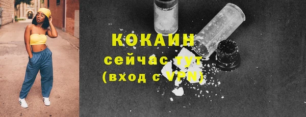 ПСИЛОЦИБИНОВЫЕ ГРИБЫ Заводоуковск